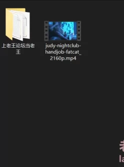 [自行打包] FatCat17新作judy Nightclub Hanjob（赛博朋克2077的朱迪）4K 1币 [V1+139.87M][百度盘]